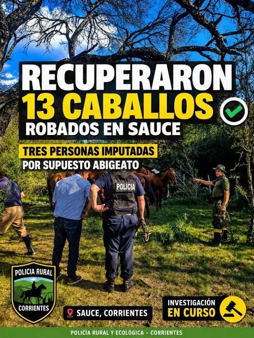 recuperan caballos