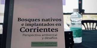 LIDERAZGO FORESTAL Y CIENCIA: SE PRESENTÓ UNA OBRA CLAVE SOBRE LOS BOSQUES DE CORRIENTES EN GOYA