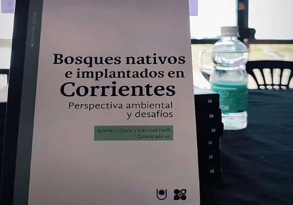 BOSQUES (1)