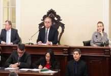 SESIÓN 13: LA CÁMARA DE DIPUTADOS SANCIONÓ LA LEY DE CAPACITACIÓN EN RCP PARA SALVAR VIDAS