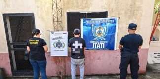 ITATI: POLICIA DE CORRIENTES SECUESTRA PLANTINES DE MARIHUANA