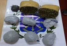 DIRECCION GENERAL DE DROGAS PELIGROSAS Y CRIMEN ORGANIZADO