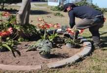 VIRGEN DEL ROSARIO