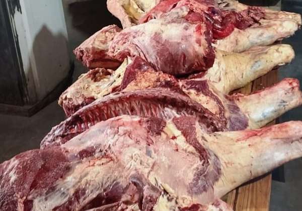 carne en negro 2