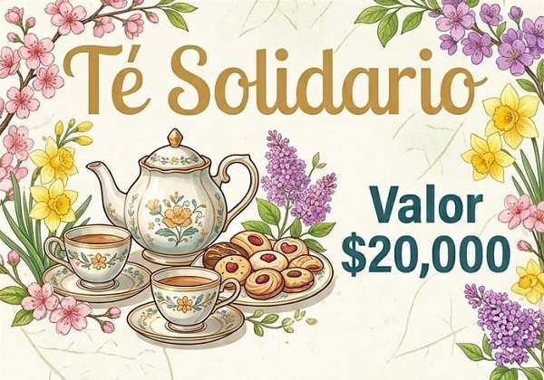 rotary solidario