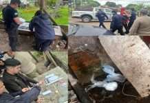 MONTE CASEROS: DETIENEN A DOS PERSONAS POR CASO DE NARCOMENUDEO