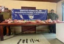 SAN LUIS DEL PALMAR: TRAS UN ALLANAMIENTO, LA POLICÍA SECUESTRÓ PRODUCTOS CÁRNICOS Y DETUVO A UNA PERSONA
