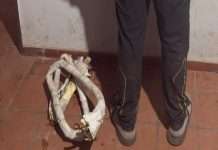 RÁPIDA INTERVENCIÓN POLICIAL