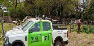 LA CRUZ: SECUESTRAN ESCOPETA SIN DOCUMENTACIÓN, LUEGO HALLAN 12 ANIMALES VACUNOS SIN MARCAS